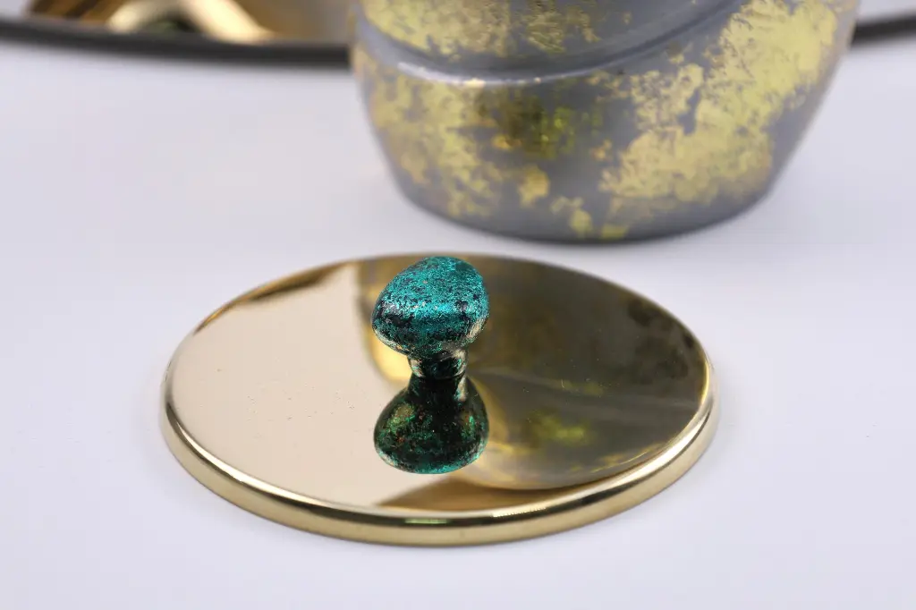 WhatsApp Image 2025-09-22 at 5.16.10 PM (2).webp