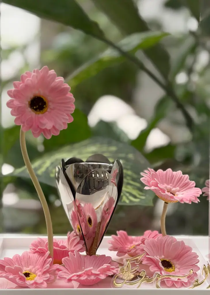 WhatsApp Image 2026-03-31 at 22.19.31.webp