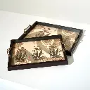 DSC00510-copy.webp